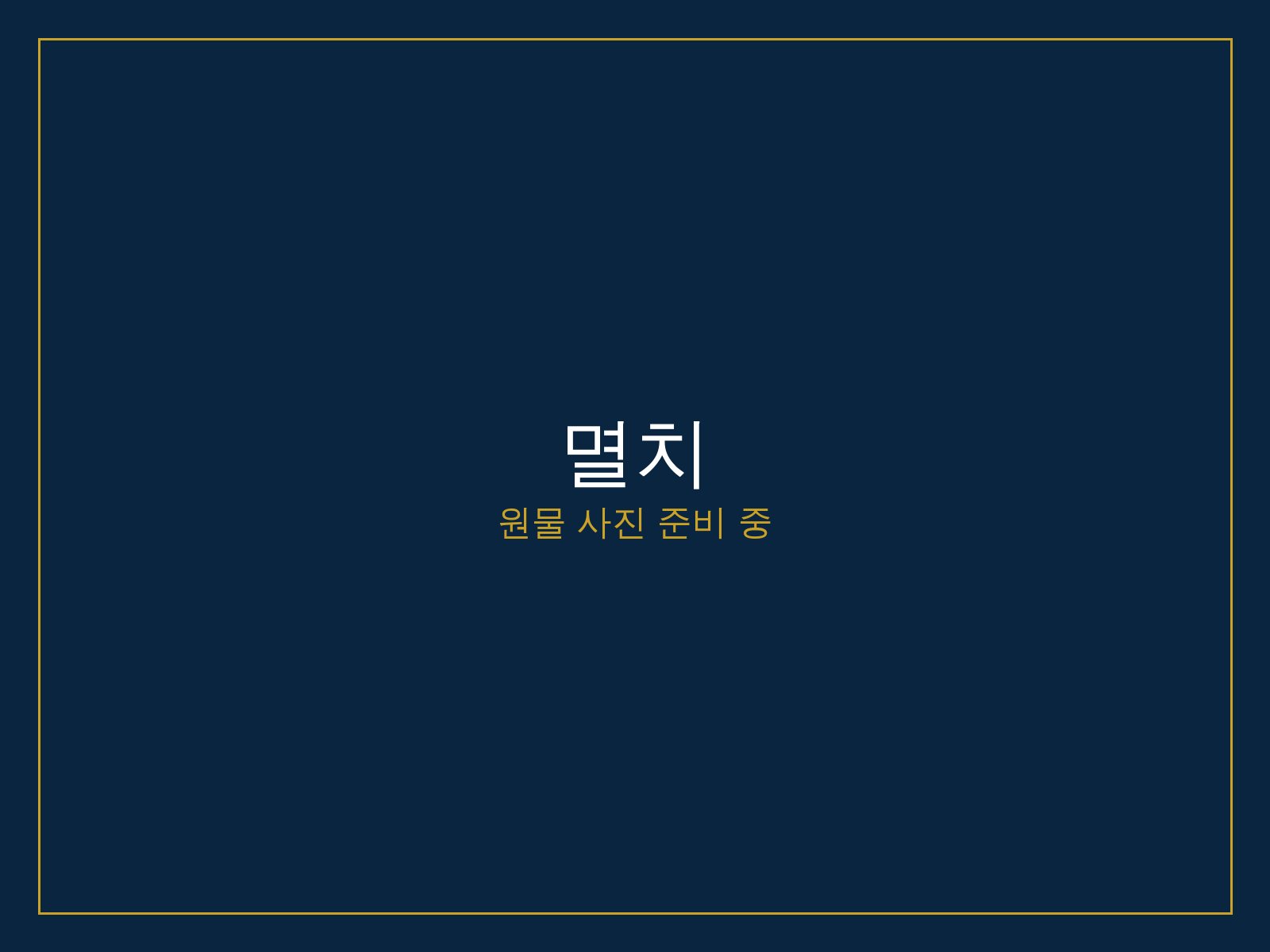 멸치
