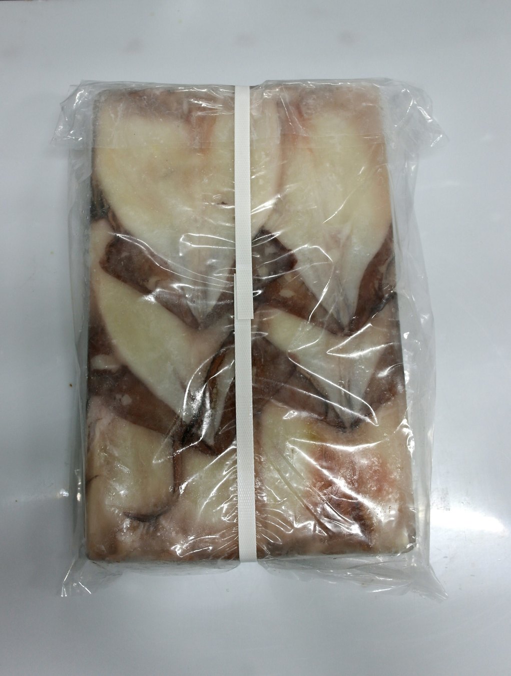 꽁치