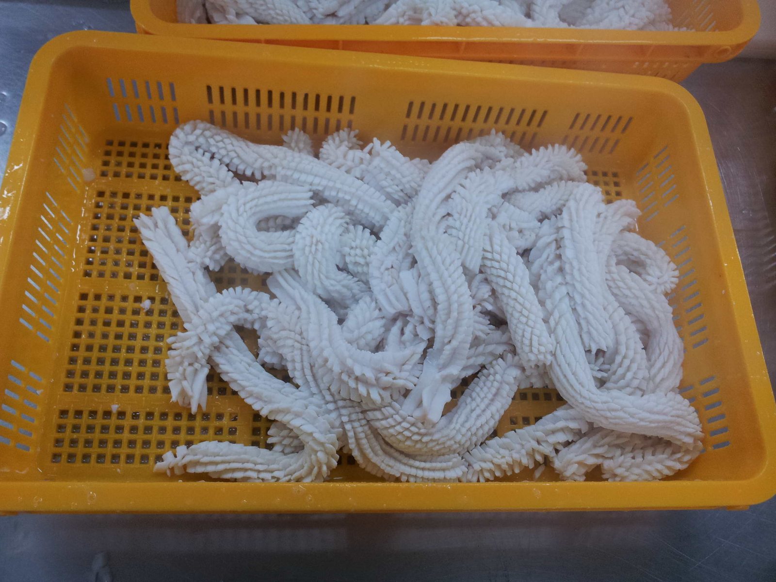 오징어 솔방울